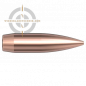 Preview: Hornady Aeromatch 30719 Geschoss